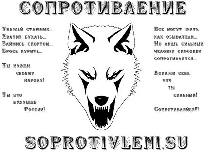 Волк 9 5 7 5