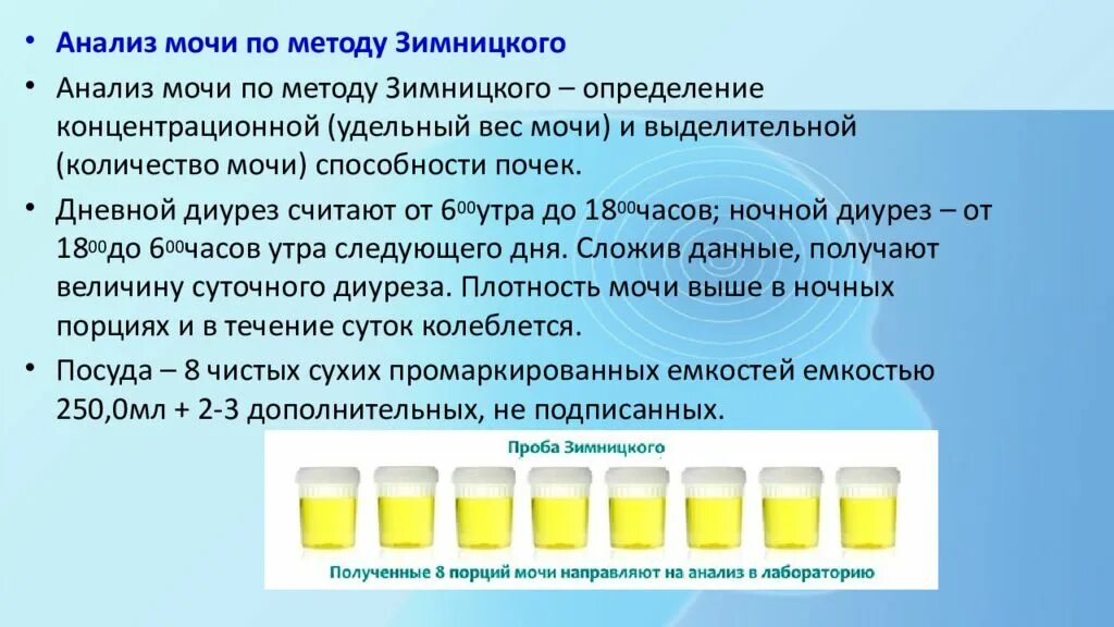 Анализ мочи по зимницкому тест. Анализ мочи по Нечипоренко и Зимницкому. - Анализ мочи по Нечипоренко; - анализ мочи по Зимницкому. Сбор мочи по Нечипоренко и Зимницкому. Исследование, по Зимницкому, по Нечипоренко..