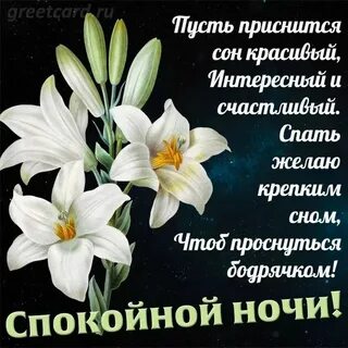 Открытки с днем пожеланий доброй ночи