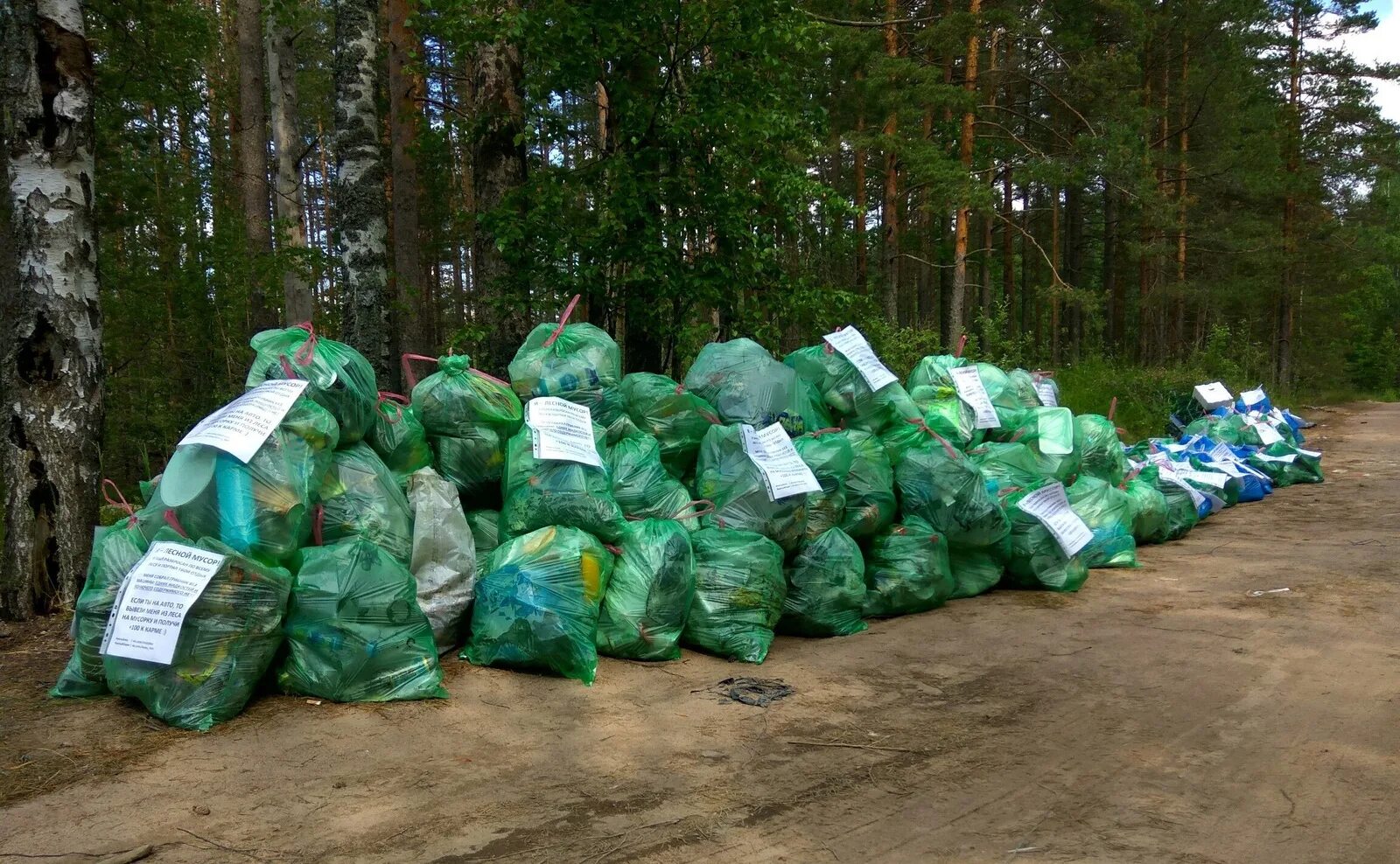 Х отходов. Мусорные мешки в лесу. Мусорные пакеты в лесах. Пакет с мусором в лесу. Экология уборка мусора.
