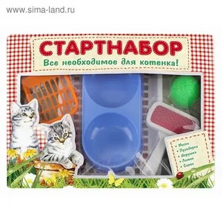 Что нужно для котенка