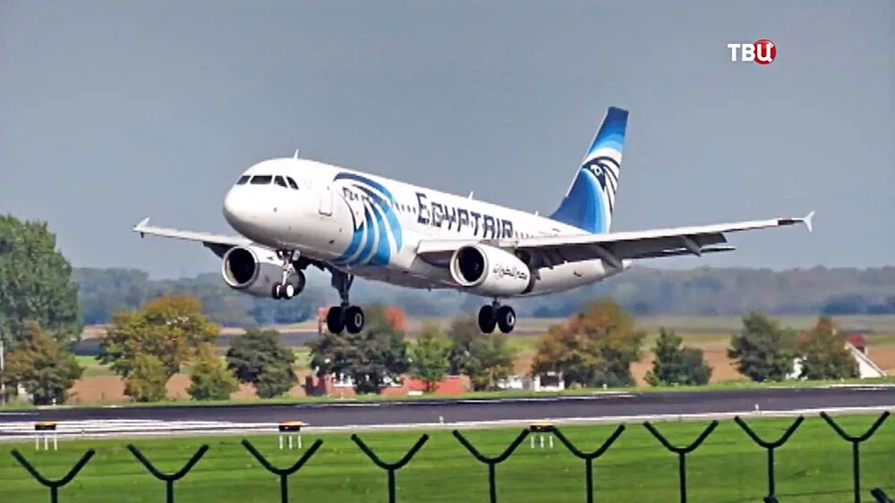 Egypt air airbus. Самолет александрия. Полет вирджинии. Лайф египет самолет прямое. Jordan aviation.