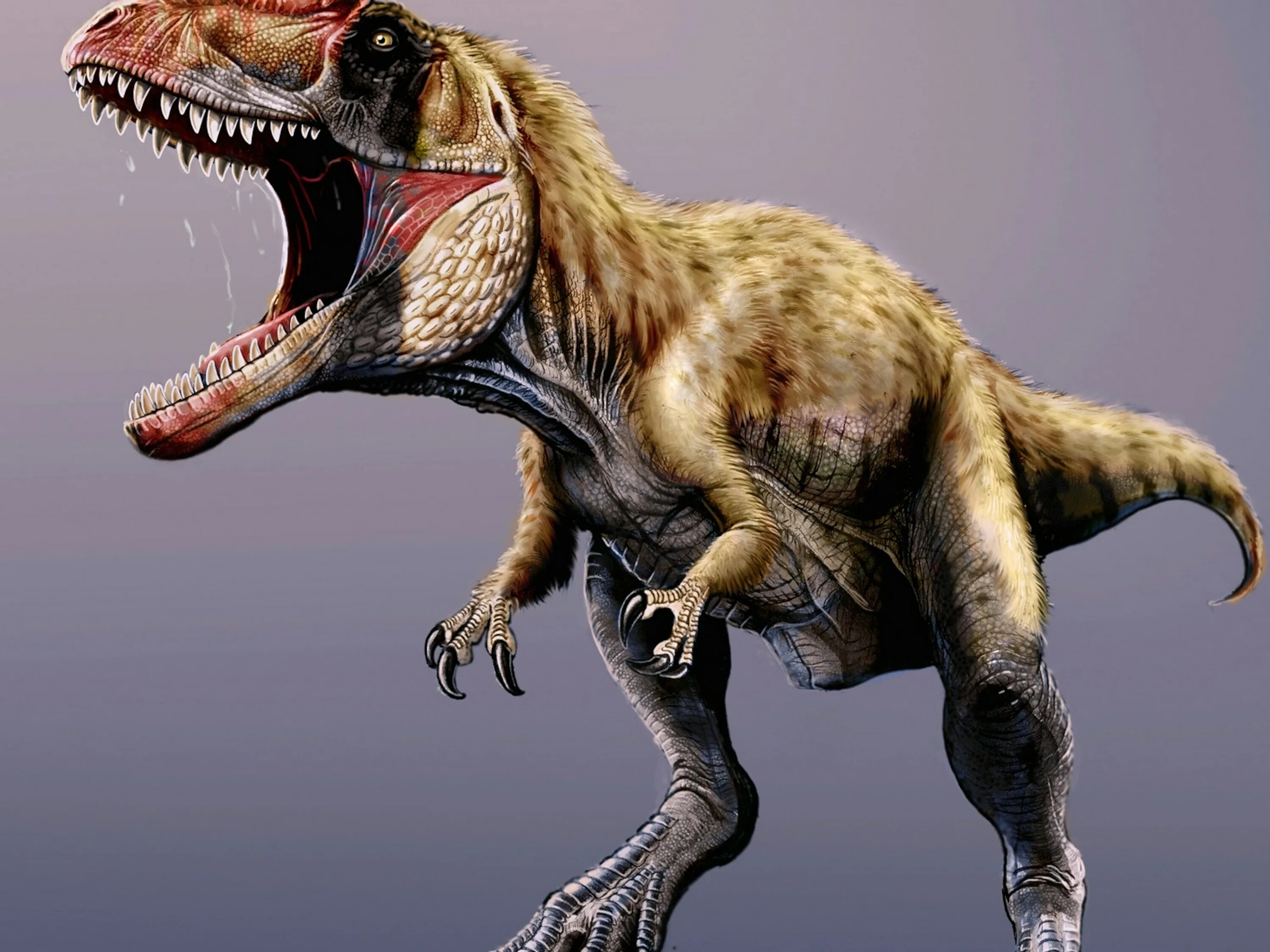 Тираннозавр рекс. Сиатс динозавр. Тираннозавр ти рекс. Тираннозавр меловой период. Большой динозавр хищник