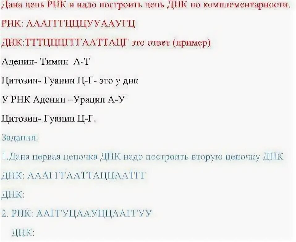 Исходная цепь днк представлена последовательностью 5 цгааггтгацаатгт. Исходная цепь днк представлена последовательностью 5 цгааггтгацаатгт