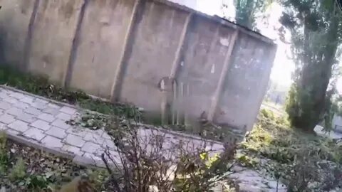 Z телеграмм канал операция военкоры русской