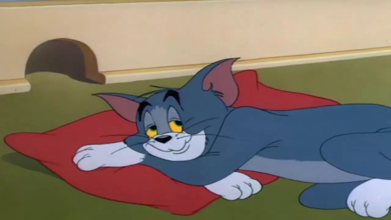 Sleeping tom. Сонный кот том. Сонный Джерри.