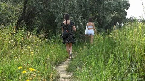 와일드 키티 십대 에로 