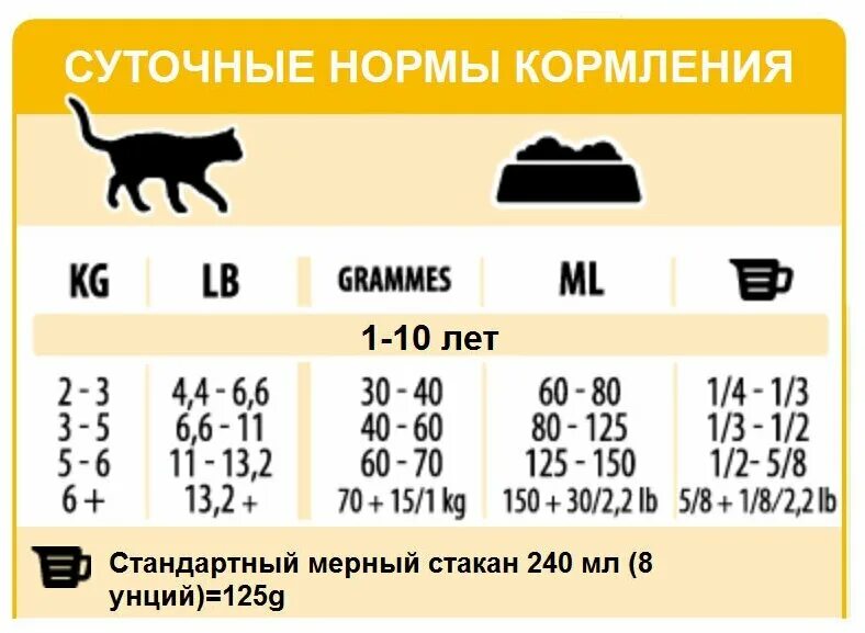 Сколько нужно кормить кошку раз в день