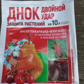 Обработка груши от ржавчины весной как правильно