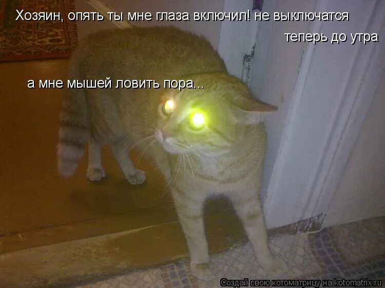 Приколы из закрытой школы. Сейчас выключилась. Сейчас выключилась. Сейчас выключилась. Сейчас выключилась.