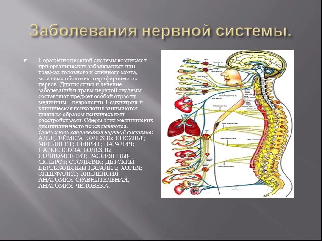 Заболевания нервной системы. Нервная система. Заболевания нервной системы презентация. Заболевания нервной системы биология.