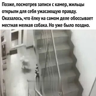 Не жилец 2023 отзывы