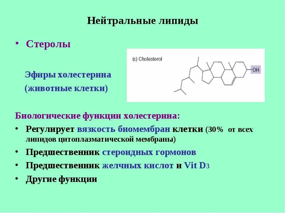 Биологические функции липидов в организме. Строение простых липидов. Функции стероидных липидов. Стеролы функции. Гормоны производные липидов.