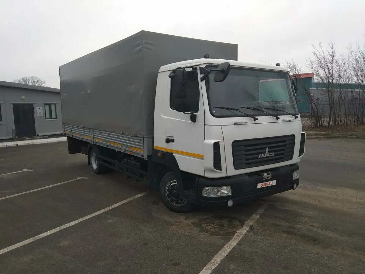 маз зубренок корнет. маз корнет 4381. маз корнет отзывы владельцев. маз зубренок 4371 корнет. блок фара маз 4371 корнет.