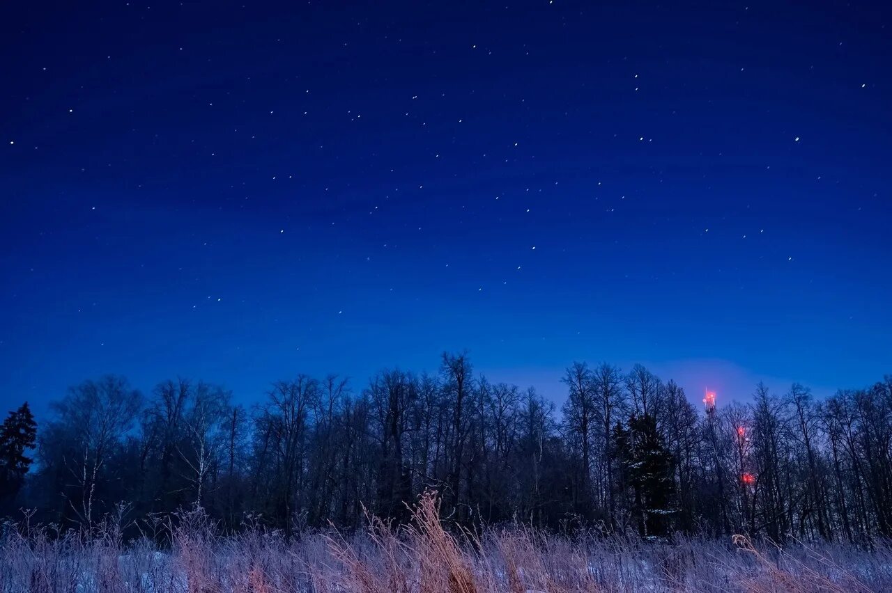 Gold night. Золотая ночь. Ночное небо зима. Ночное золотое небо. Подмосковье ночь фон.