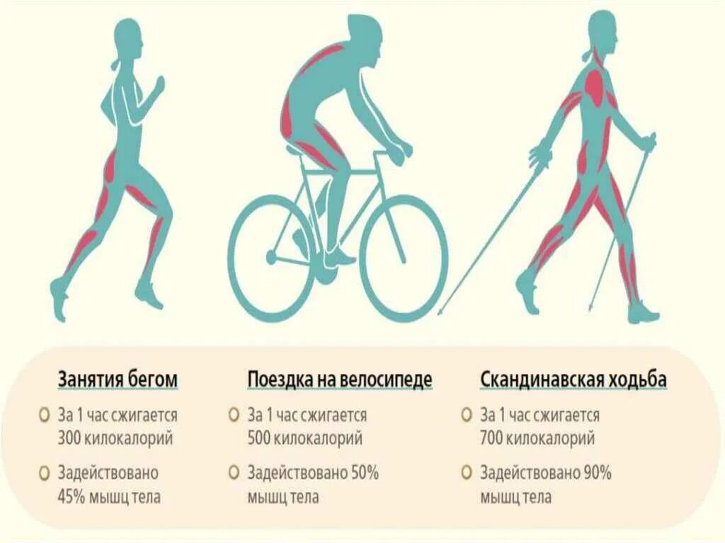 Что лучше бег или велосипед. Техника скандинавской ходьбы. Палки для скандинавской ходьбы. Скандинавская ходьба польза. Скандинавская ходьба схема.