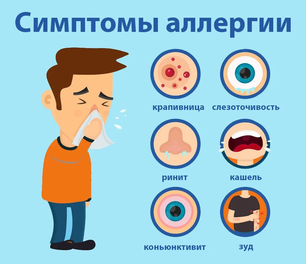 Аллергия признаки и симптомы. Аллергия признаки и симптомы