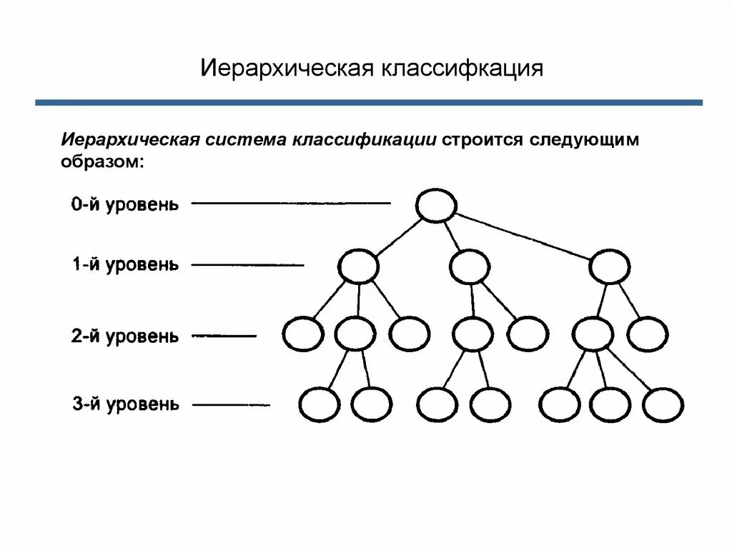 Иерархического способа организации данных. Иерархическая структура популяций. Схема иерархической структуры. Иерархическая структуратпблица линейная схема. Иерархическая структура т.