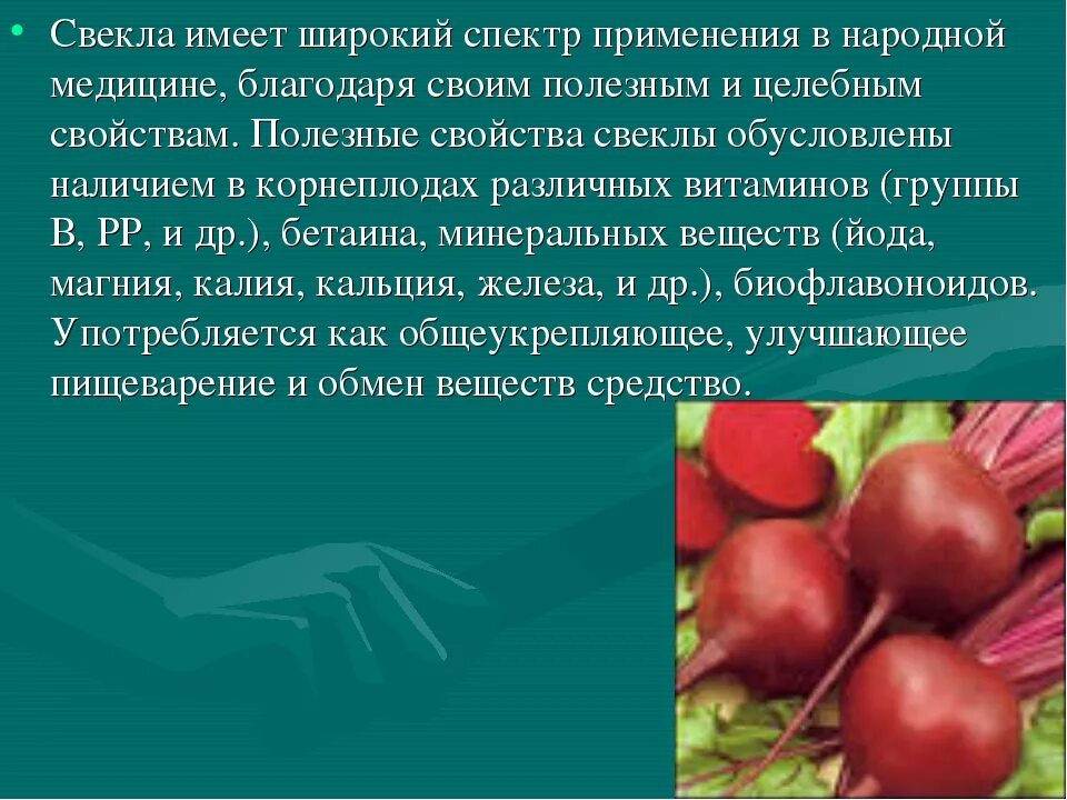 Свекла вред для здоровья мужчин. Чем полезен ревень. Ревень полезные свойства. Ревень в народной медицине. Чем полезен ревень для организма.