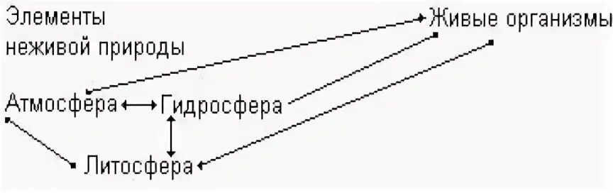 Элемент неживого. Главные положения учения о биосфере. Биосфера гидросфера литосфера учебная картинка с животными. Переход питательных элементов от неживой природы