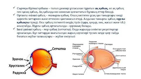 Анита Қараңғы порно онлайн