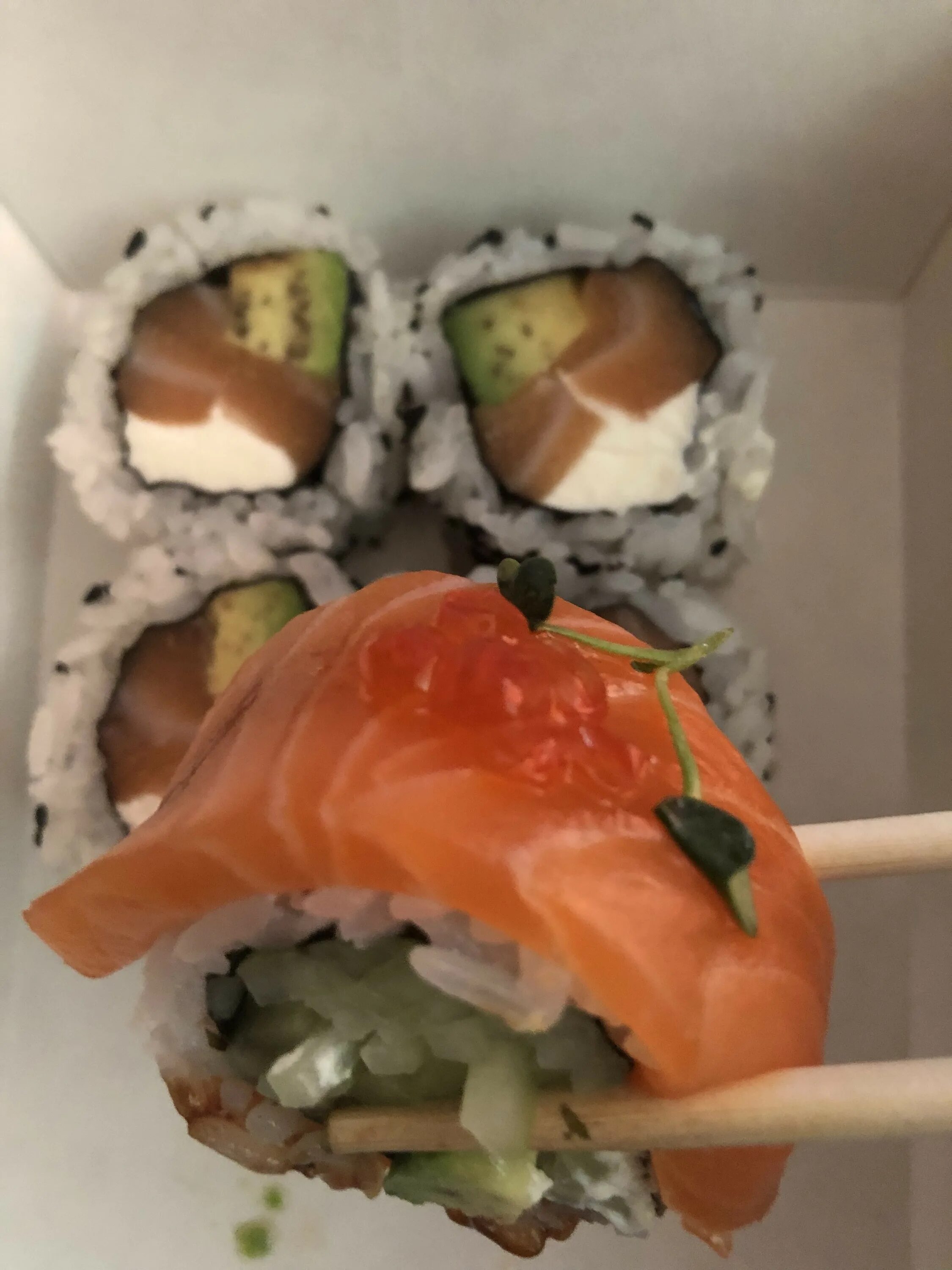 Суши плиз. Суши плиз красноярск. sushi please красноярск.