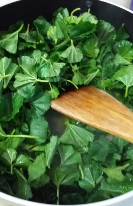Mallow: You've gotta try any plant that has a "cheese wheel" - Book Wild Food Fo