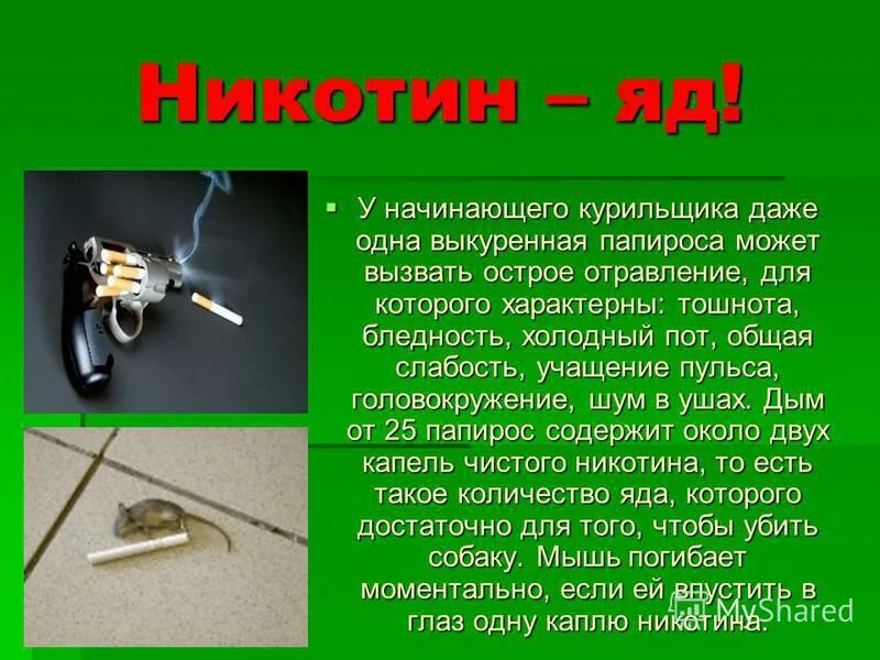 начал курить. причины начать курить. безвредного табака не бывает рисунок. тяга к курению. привыкание к курению.