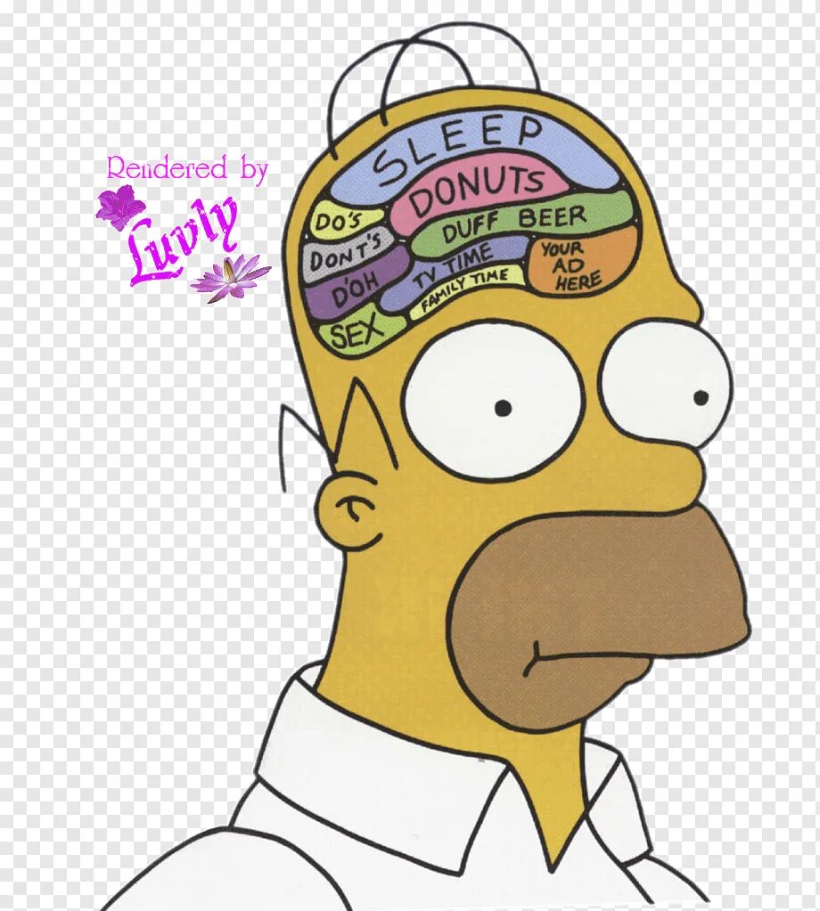 Гомер мозг. Мозг гомера симпсона. Мрт гомера симпсона. Мозг гомера симпсона. Гомер симпсон.