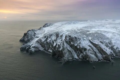 Остров Врангеля: 2 тыс изображений найдено в Яндекс Картинках