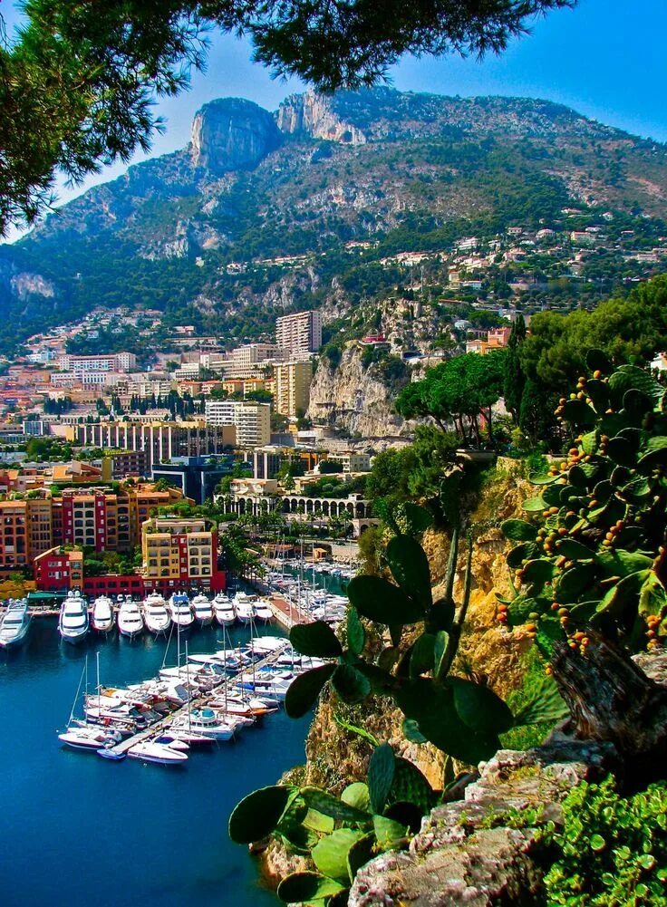 Французская ривьера княжество монако. Монако площадь территории. Княжество монако. Монте карло столица монако. Монте карло монако.
