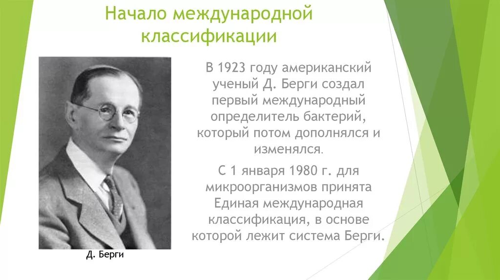 Создал первую классификацию
