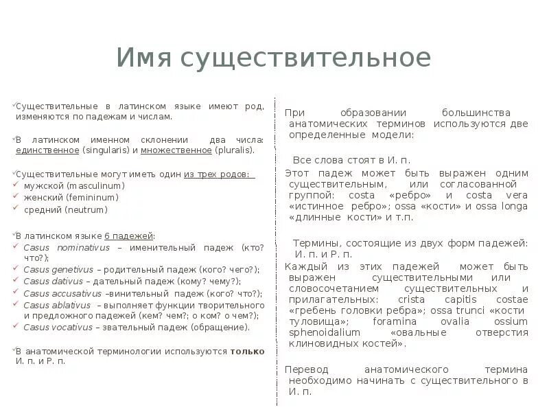 Основа определяется латинский. Основа определяется латинский