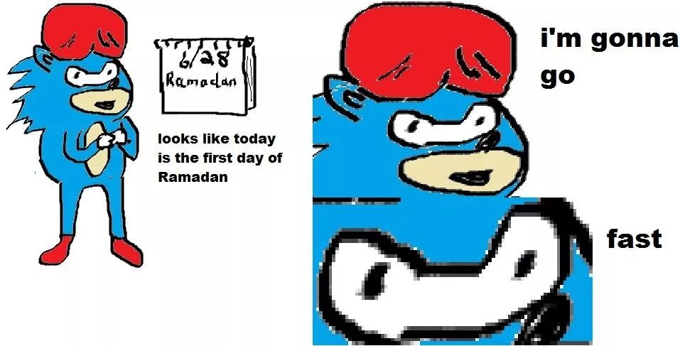 I m gonna go. Gotta go fast мем. gotta go fast meme. gonna go fast sonic. muslim sonic.
