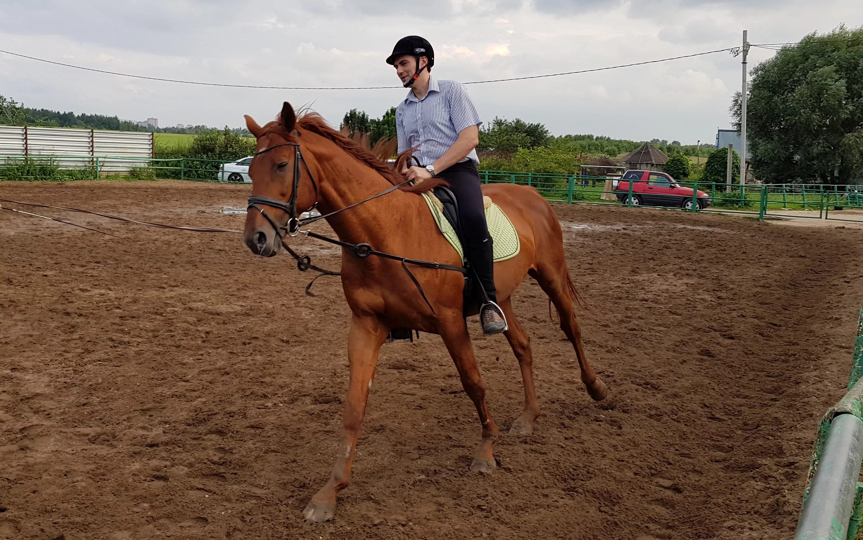 управление лошадью. она нужна для управления лошадью. эндрю кочер. корда для лошади на лошади. управляющий лошадьми.