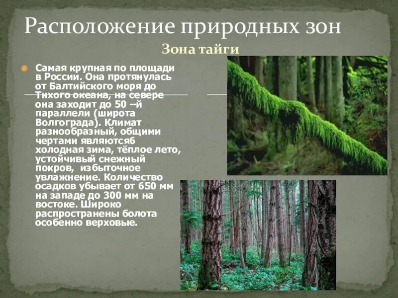 Расположение зоны тайги в России. Тайга природная зона. Географическое положение зоны тайги в России. Географическое положение природной зоны тайги в России. Тайга самая крупная природная зона россии