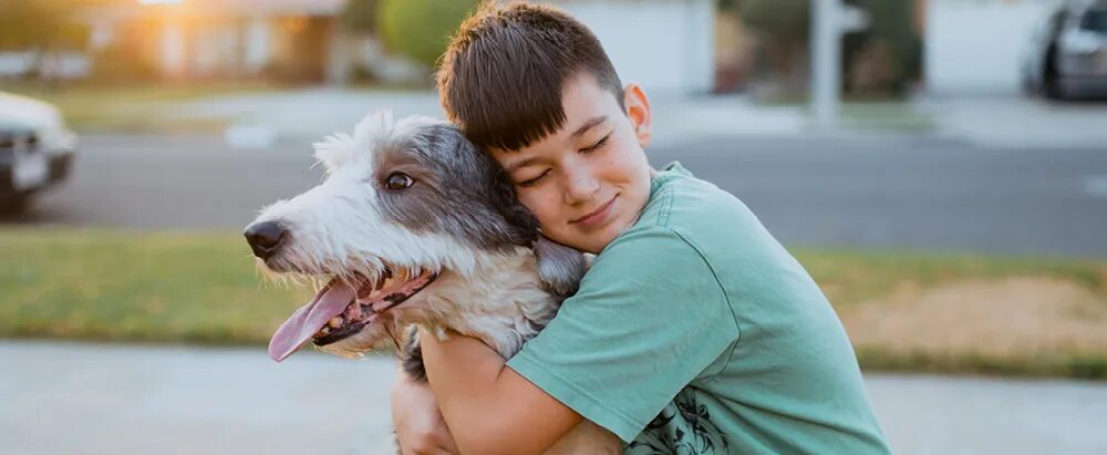 Allergies for Dogs. Allergies to Pets პიცტურე. A boy is hugging a Dog.