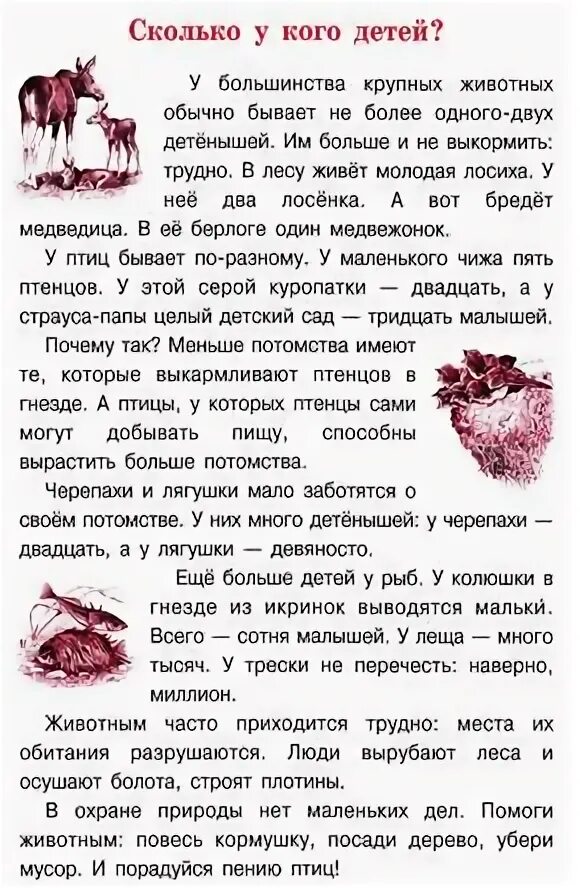 Сколько у кого детей комплексная работа. Сколько у кого детей. У большинства крупных животных обычно бывает не более. Сколько у кого детей 2 класс. Сколько у кого детей текст.