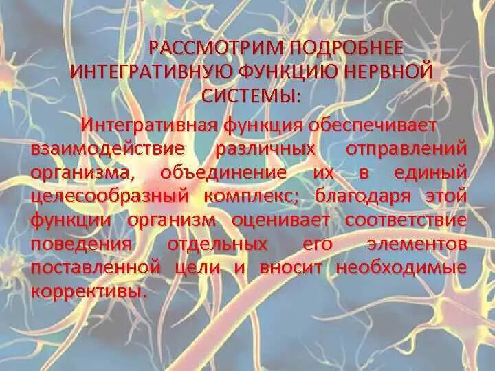 Интегративная функция нервной системы. Нервная система: интегративные функции нервов. Интегративная функция центральной нервной системы. Интегративная функция мозга.