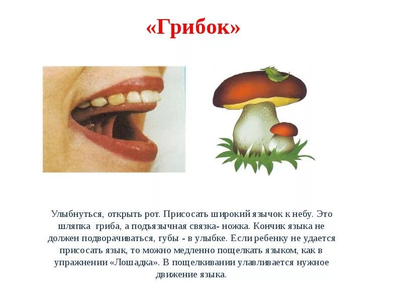 Как научиться говорить букву р взрослому. Как научиться говорить букву р взрослому