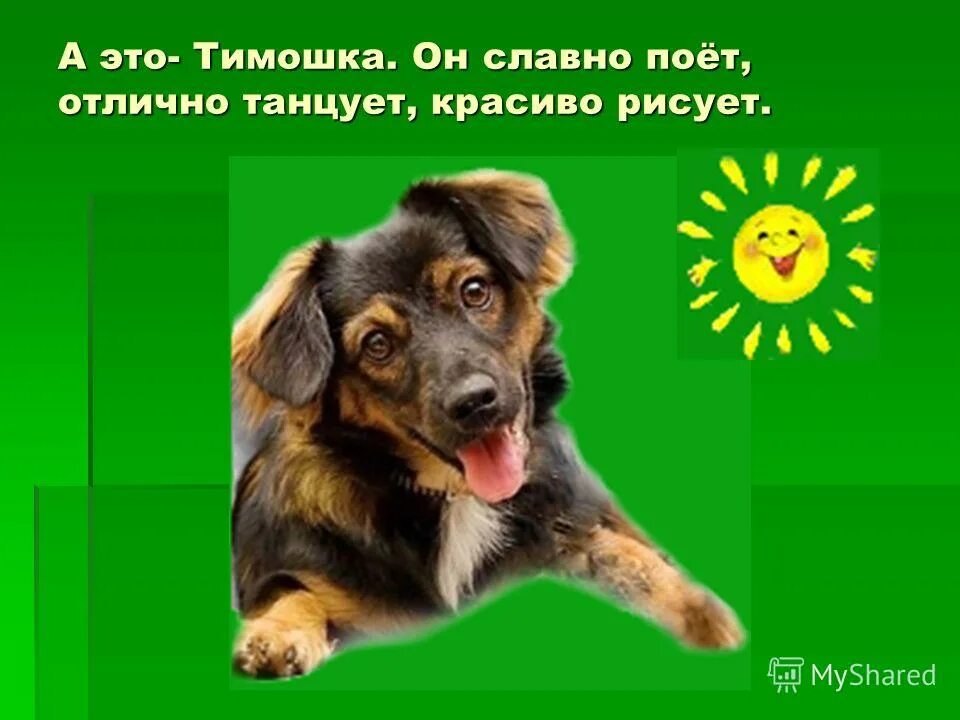 Ты славно поешь. Юрий диткович. Я поел картинка. Аня какашка. Поесть картинка.