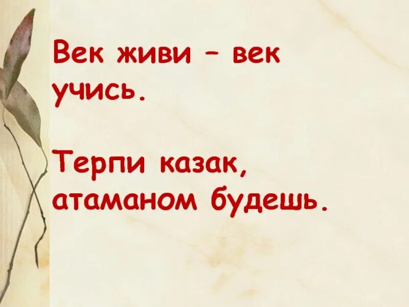 Выражение терпи. Терпи казак атаманом будешь. Терпи Козак атаманом будешь. Терпи солдат атаманом будешь. Век живи век учись.