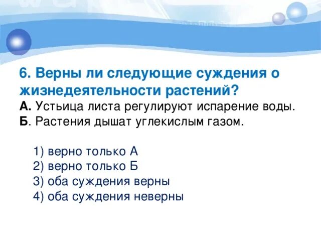 Верны ли следующие суждения о жизнедеятельности растений. Верно ли следующее суждение о процессах жизнедеятельности растений. Суждения о процессах жизнедеятельности растений. Верны ли следующие суждения о дыхании растений.