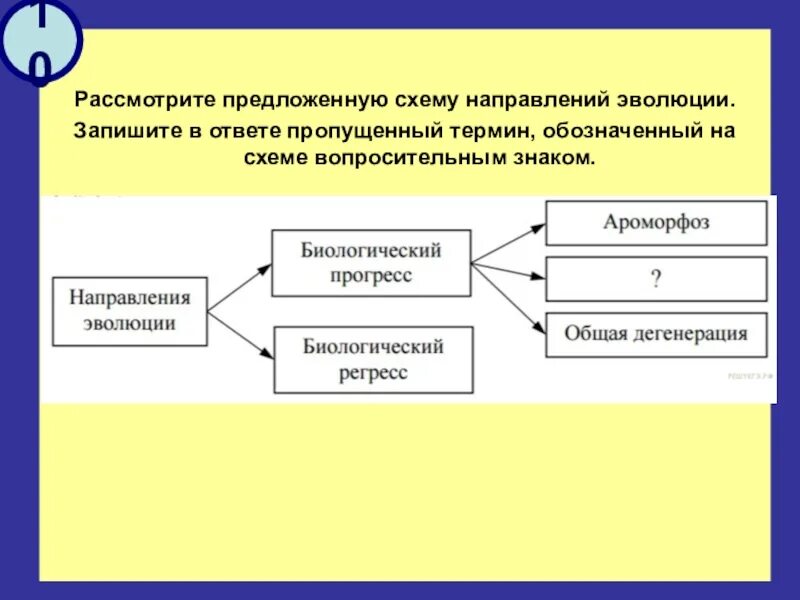 Рассмотрите предложенную схему направлений эволюции. Рассмотрите предложенную схему. Запишите. Рассмотрите схему направлений эволюции запишите в ответ. Рассмотрите схему запишите в ответе пропущенный.