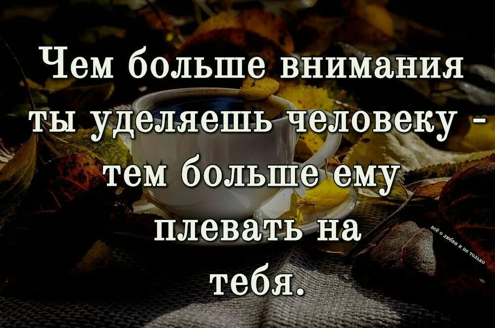 Мужу мало внимания. Внимание к человеку цитаты. Чем больше внимания. Чем больше внимания ты уделяешь человеку. Чеп больше внимания ужкляешь чклрвеку чем больле.