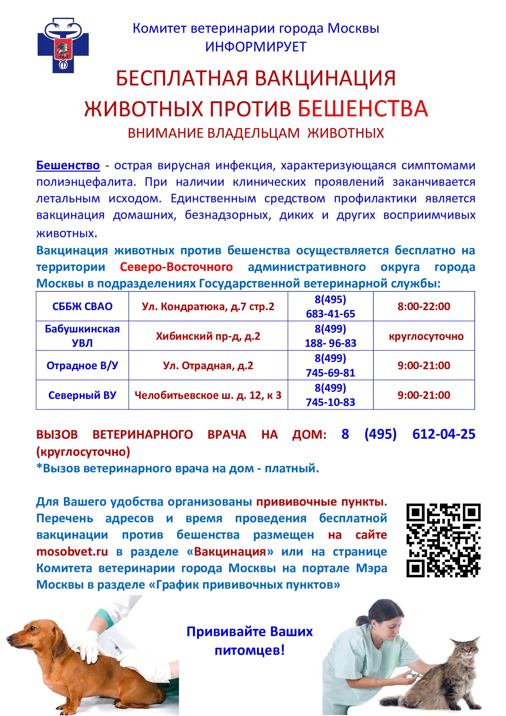 Прививки против бешенства. Иммунизация против бешенства. Бешенство вакцинация животных. Бесплатная вакцинация животных против бешенства. Бесплатная прививка от бешенства собаке в москве