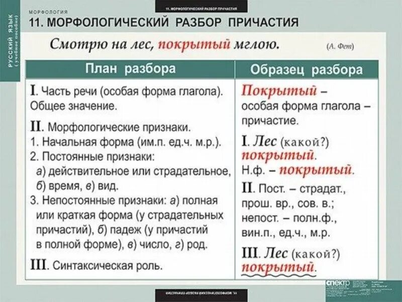 Морфологический разбор предложения 7 класс. Морфологический разбор слова. морфологическийразборслова;. ь морфологический разбор. морфологический разбор млов.