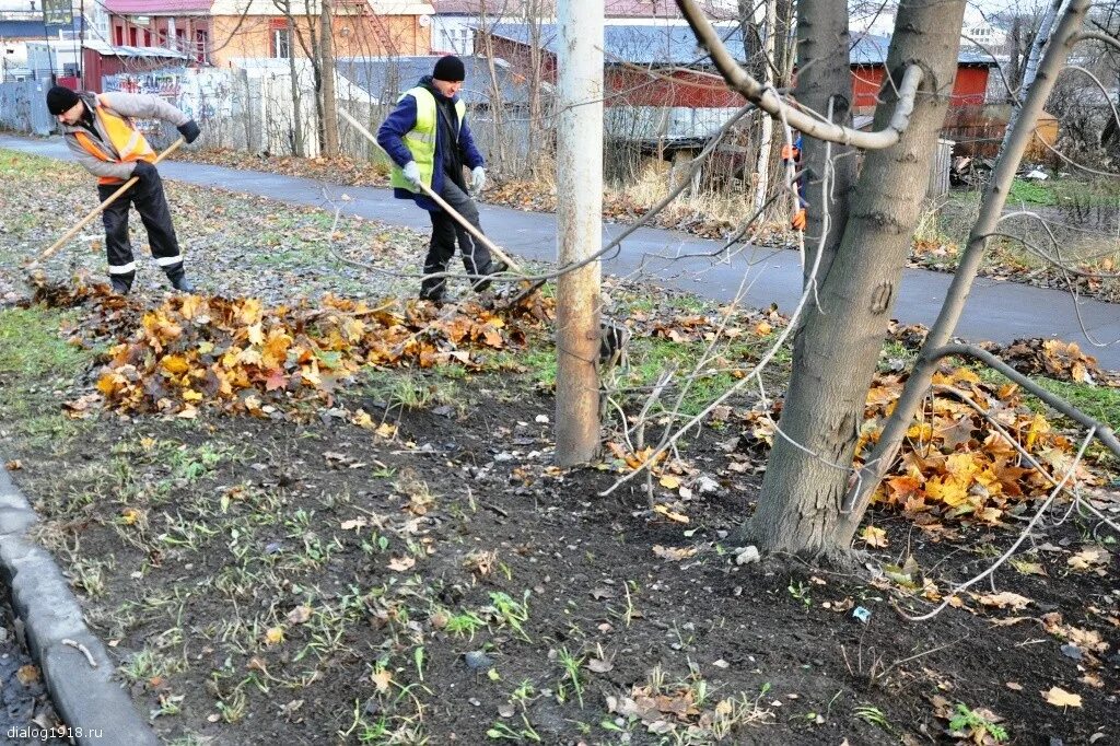 Когда убирают листву