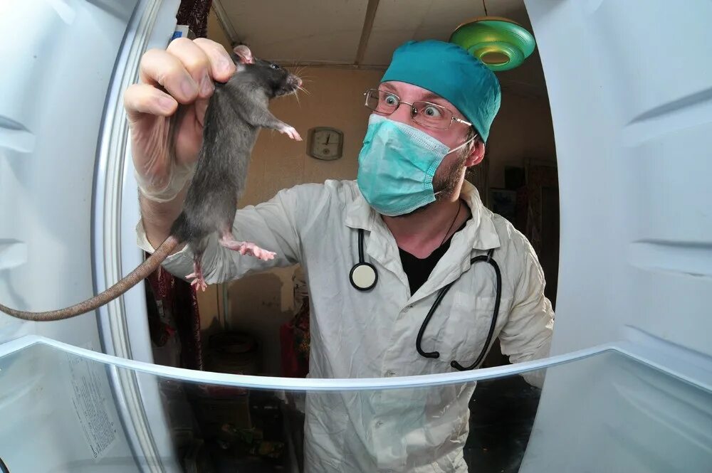 Ветеринар мем. Мемы ветврачей. Анекдоты про ветеринаров. Смешной ветеринар. Мемы про студентов ветеринаров.