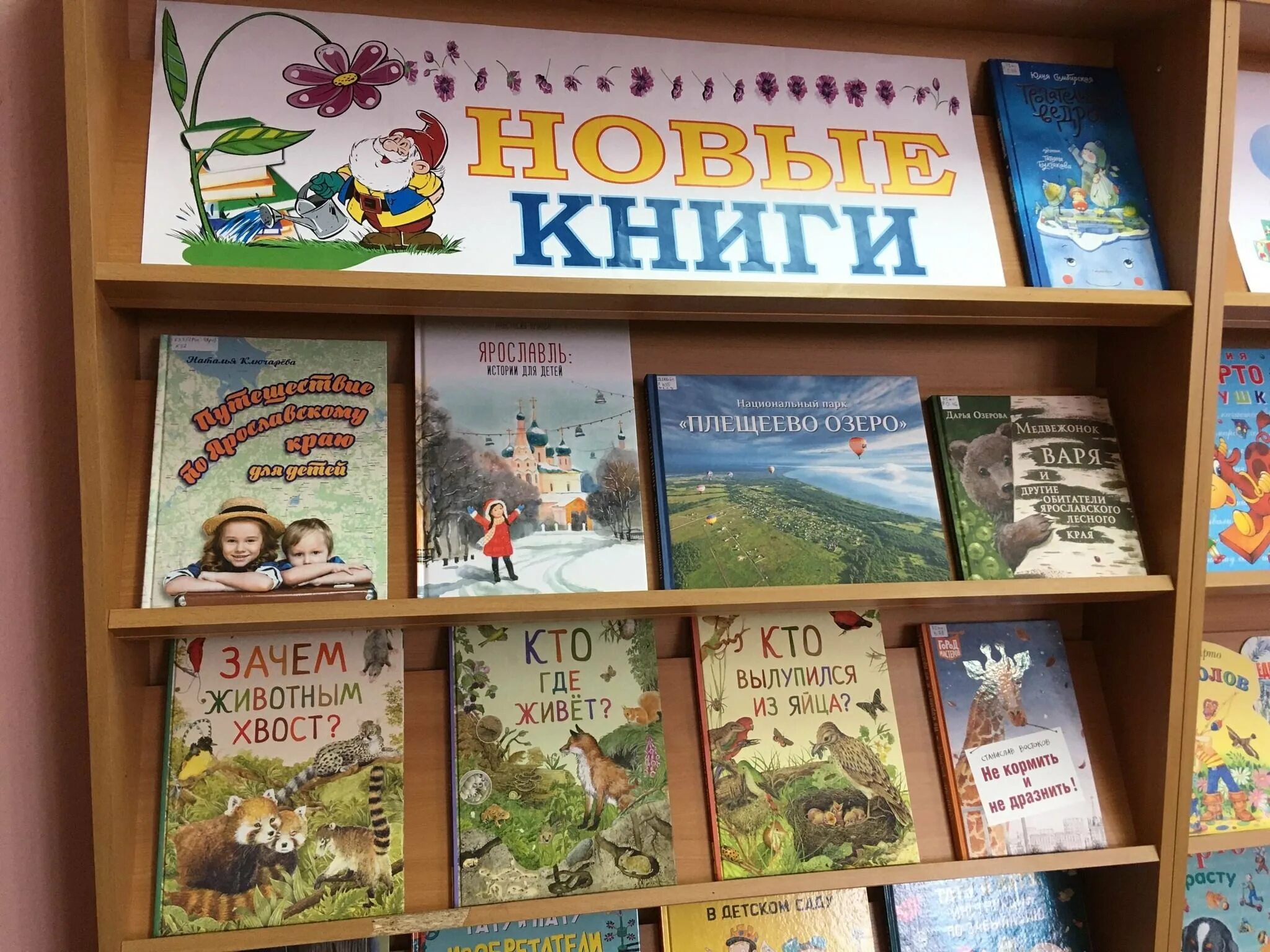 Наличие книг в книжных. Выставка новых книг. Выставка книг в библиотеке. Выставка новых книг в детской библиотеке. Книжная выставка новые книги в библиотеке.